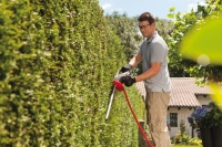 plmood-2-112680-ht-550-safety-cut.jpg