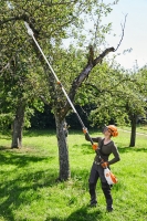 stihl hta 135 uzycie 1.jpg