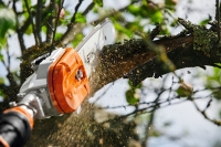 stihl hta 135 uzycie 2.jpg