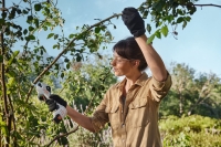 sekator akumulatorowy stihl asa 20 z akumulatorem as 2 i ladowarka al 1 uzycue.jpg