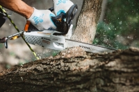 pilarka spalinowa lancuchowa stihl ms 194 t  1,9 km 38 cala p 35 cm pm3 uzycie.jpg