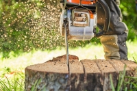 pilarka lancuchowa spalinowa stihl ms 162 c-be 1,6 km 38 cala 35 cm pmm3 uzycie.jpg