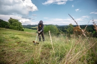 kosa spalinowa stihl fs 235 moc 2,1 km z glowica zylkowa stihl autocut c 26-2 uzycie 4.jpg