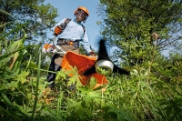 kosa spalinowa stihl fs 240 moc 2,3 km z glowica zylkowa stihl autocut 36-2 uzycie 2.jpg