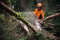 pilarka lancuchowa spalinowa stihl ms 500i 6,8 km 38 cala 63 cm okrzesywanie.jpg
