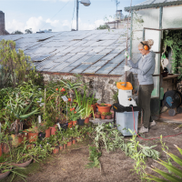 ozdrabniacz elektryczny STIHL GHE 135 L -ogród 2