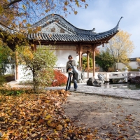 stihl sh 86 odkurzacz ogrodowy spalinowy o mocy 1,1 km z funkcja dmuchawy i workiem 45 l wciaganie i mielenie lisci na zewnatrz.jpg