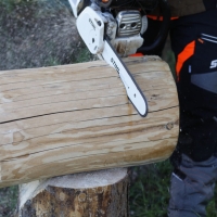 stihl lancuch tnacy typ pelne dluto rs pro, dlugosc 35cm, podzialka 325, szerokosc 1,3 mm, 56 ogniw prowadzacych, do pilarki ms 230, ms 231, ms 241, ms 250, ms 251 praca w drewnie z nowym lanuchem przy uzyciu ms 251.jpg