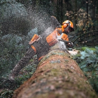 lancuch tnacy stihl typu pelne dluto, podzialka 3-8, rs, szerokosc 1,6mm, 84 ogniwa prowadzace dlugosc 63cm do ms 461, ms 462, ms 500i, ms 661 prace lesne z ms500i z nowym lancuchem.jpg