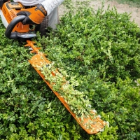 Korytko zbierające STIHL, długość 50 cm, do nożyc do żywopłotu HS 45, HSA 30, HSA 40, HSA 50, HSA 56, HSA 60, HSA 66, HSA 86, HLA 56, HLA 66, HLA 86, HSE