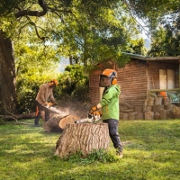 stihl pilarka zabawka, zabawkowa pila lancuchowa dla dzieci, zabawka pilark z ruchomym lancuchem i glosnikiem zabawa pilarka zabawka w ogrodzie.jpg