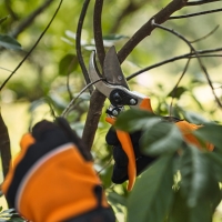 stihl pg 10 sekator reczny nozycowy bypas, srednica ciecia do 20 mm, przycinanie cienkich galezi.jpg