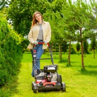 cedrus cedwr01 wertykulator areator spalinowy, moc 5,4km, szerokość robocza 40 cm, z koszem 45 l 2 praca aeracja trawnika.jpg