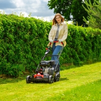 cedrus cedwr01 wertykulator areator spalinowy, moc 5,4km, szerokość robocza 40 cm, z koszem 45 l 2 uzycie wertykulacja w ogrodzie.jpg