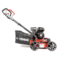 cedrus cedwr01 wertykulator areator spalinowy, moc 5,4km, szerokość robocza 40 cm, z koszem 45 l prawy bok.jpg