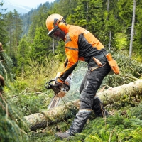 stihl helm kask ochronny dynamic light, opuszczana przylbica oslona twarzy, skladane nauszniki ochroniki sluchu, en352, en397, en1731 ciecie drewna z ms261.jpg