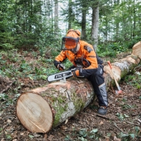 stihl helm kask ochronny dynamic light, opuszczana przylbica oslona twarzy, skladane nauszniki ochroniki sluchu, en352, en397, en1731 prace lesne.jpg