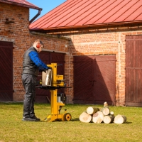 cedrus ls06v luparka pionowa do drewna elektryczna, moc 3000w, sila nacisku 7 ton lupanie drewna na farmie.jpg