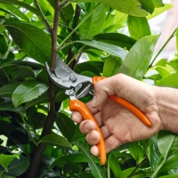 Cięcie gałęzi do 20 mm sekator STIHL PG 20.jpg